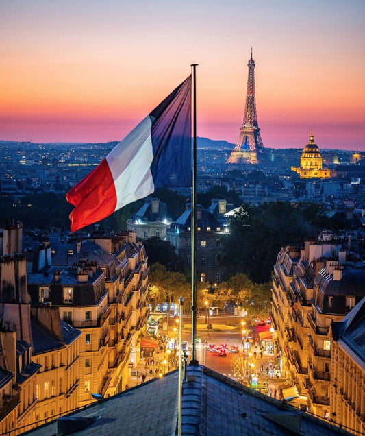 15 février 1794 : Naissance du drapeau Français