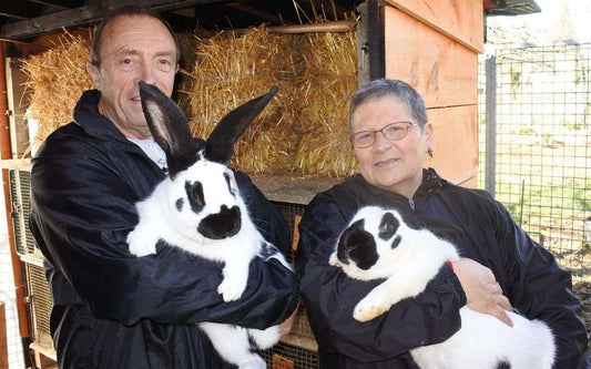 Le lapin géant papillon - Patrimoine de France